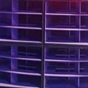 SoundCultAnon's profile picture. Showcasing Soundsystems & their culture worldwide. Sound, not hype 🌐🤝🔊