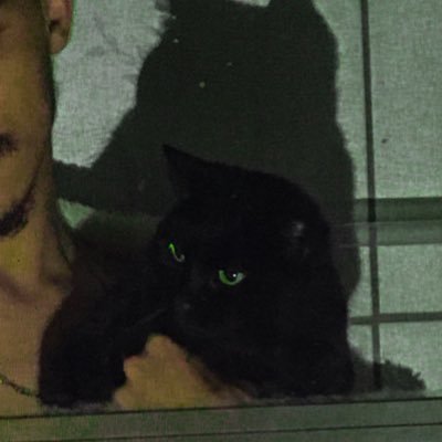 st__lopez's profile picture. devoto de taylor Swift,florence welch,st.vincent,maggie rogers e sky ferreira @saint.lopez_