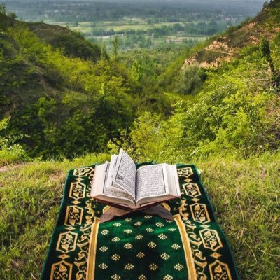 اللهم اجعل هذا الحساب شفيعًا لي ولوالدّي وإخوتي وأخواتي والمؤمنين والمؤمنات والمسلمين والمسلمات أجمعين.