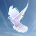 tom paul (@trprei) Twitter profile photo tom paul (@trprei) Twitter profile photo
