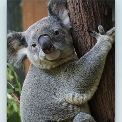 Jase7772's profile picture. MY PREFERRED PRONOUNS ARE:
SAVED
REDEEMED
DELIVERED
SANCTIFIED
JUSTIFIED
FORGIVEN
BORN AGAIN