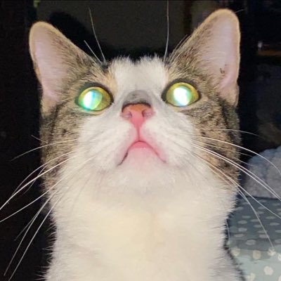 Gendal_Bendalさんのプロフィール画像
