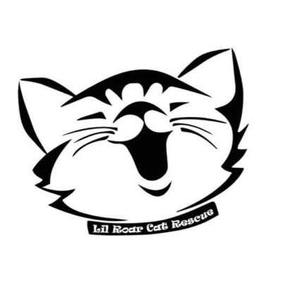 Lil Roar Cat Rescue (LRCR) is a 501 (c) (3) non-profit (no kill) cat rescue organization that serves to vaccinate, vet, and find homes or #TNR our rescues.