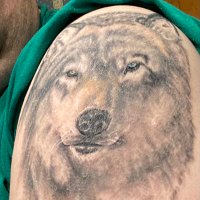 LoneWolf (@dougofborg) 's Twitter Profile