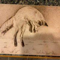 Sue Hafdell (@hafdellsue) 's Twitter Profile