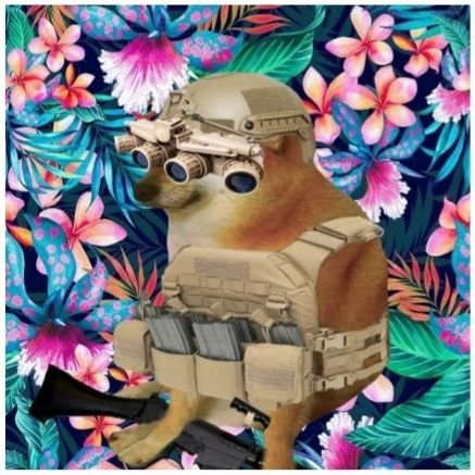 Cheems762's profile picture. 