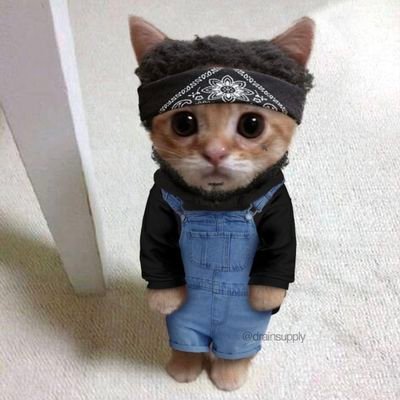 ZenoirX's profile picture. ☃️
#9INENATION
#MUFC
#FCBayern
#EZ4ENCE