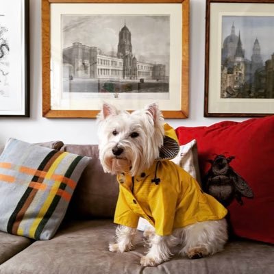 privado_james's profile picture. I’m an actor, director and a movie producer 🎥