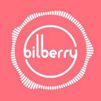 Bilberryoman(@bilberryoman) 's Twitter Profile Photo