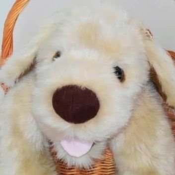 パトランは重さ約3400g。科学者の夫が開発した感動する抱き心地の犬のぬいぐるみ。特殊なゴムとリアルなフェイクファーを使用し本物のような感触を実現。2023年【通販生活】冬号に掲載。
インスタ⇨https://t.co/HJfqGzbbET
BASE他で販売中⇩ふるさと納税返礼品にもなっています