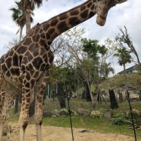 CGI_perl (@perlcgi) 's Twitter Profile