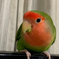 kana (@mikeito6920) 's Twitter Profile