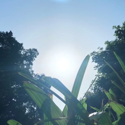 JeffChe8's profile picture. 專注