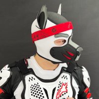 Linus 🔜 Folsom Europe (@doggylinus) 's Twitter Profile