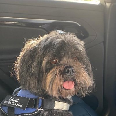 Jimkiltie1964's profile picture. 