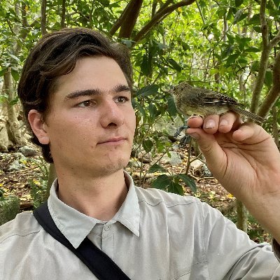 PhD student @univgroningen in the @sticklelab | Interested in Behavioural and Evolutionary Ecology | Also working on Blue tits & @SeychellesWarb | Birder