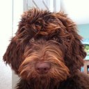 Phil kerchner - @Pjmacolorado - Twitter