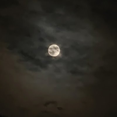 SatyamG87012089's profile picture. 