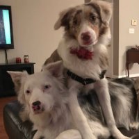 Warren Flautt (@flauttwarren) 's Twitter Profile