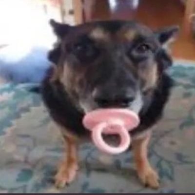 fire67661781's profile picture. 