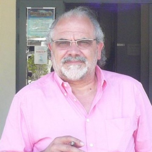 MicTed's profile picture. 