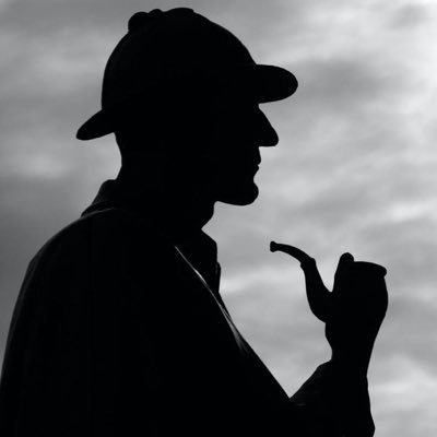 Sherlock Holmes Profile