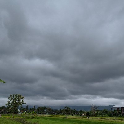 Boboibo26873491's profile picture. 