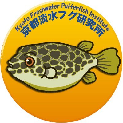 淡水フグの研究と海外採集

【Puffer's Shop】
https://t.co/LVizKAsUUf
淡水フグやグッズの販売

【淡水フグQ&A】
https://t.co/iQ1xgV72Xl
淡水フグの病気や質問にお答えします