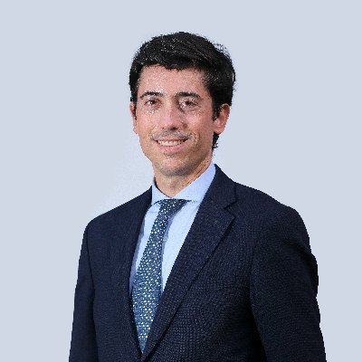 PhD in Management. Full Professor at Universidad de Sevilla @unisevilla | Co-Founder and CIO at @Minzer_io | VP @ajicede