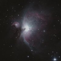 いんでぃ(天体) (@indy_telescope) 's Twitter Profile