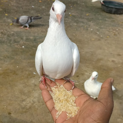 AathiraAathira5's profile picture. 