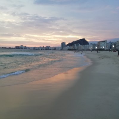 thaphooks's profile picture. Stonks, cryptoz, MOON