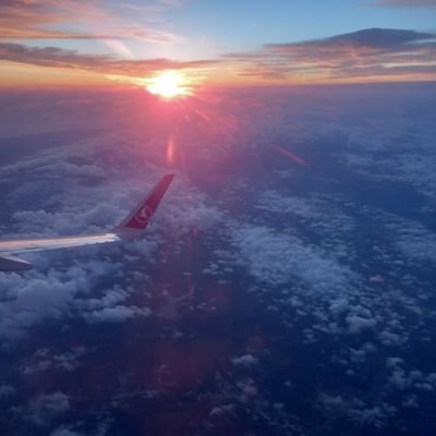 sqlmstyl16's profile picture. 