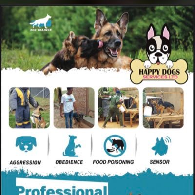 Are you looking for a Pet or Security Dogs ? Contact us we will provide the best for you We serve Country Wide 🐶 We Train DOGs My WhatsApp number +256758324895