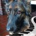 Vito Fra 🇧🇪 (@jeandoute1957) Twitter profile photo Vito Fra 🇧🇪 (@jeandoute1957) Twitter profile photo