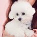 Loisi (@l148568683262) Twitter profile photo Loisi (@l148568683262) Twitter profile photo