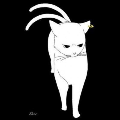 シロさんのプロフィール画像