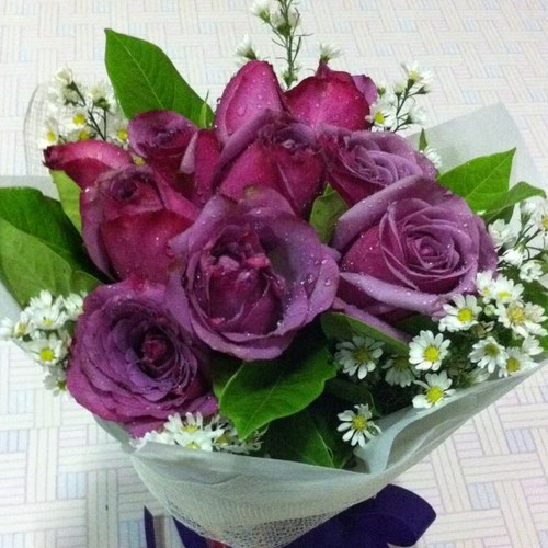 Moskes's profile picture. 