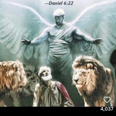 DKFields2's profile picture. 