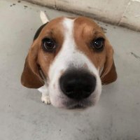 Mrs King (@mrss45) 's Twitter Profile