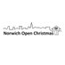 Norwich Open Christmas (@NorwichOpen) Twitter profile photo