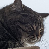 Morlock (@morlock_84) 's Twitter Profile