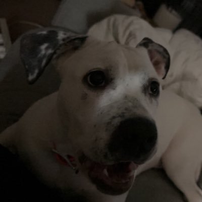 joebin_320's profile picture. probably pooping somewhere