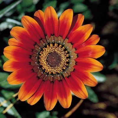 tanvi101gaur's profile picture. All tweets are my personal views.