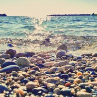 lewalew (@alevsim16882088) Twitter profile photo