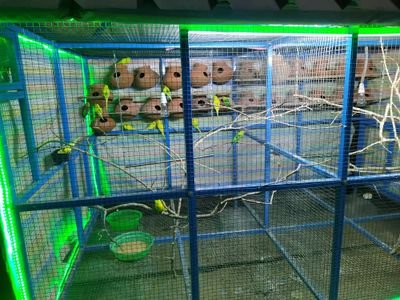 RinasS16's profile picture. 