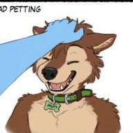 Furry Memesさんのプロフィール画像