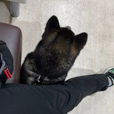 筭さんのプロフィール画像