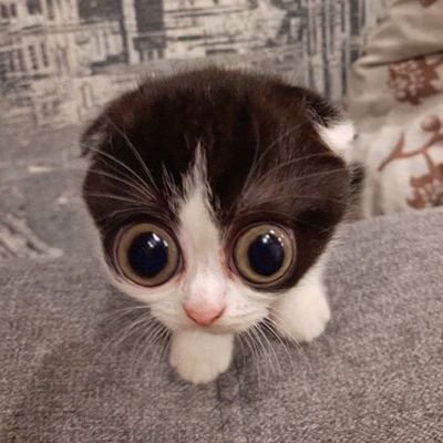 mehdirussel05's profile picture. 