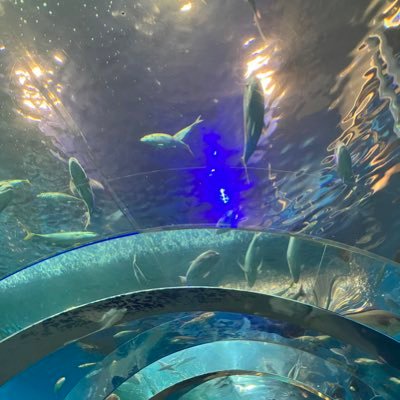 o2YK8zLALnr3blg's profile picture. ギヴン/ささみゃー/犬夜叉/薄桜鬼/薄ミュ/2.5作品/乙女ゲーム/魔道祖師/天官賜福/人渣反派自救系統/陳情令 などなどジャンル雑多ですが、のんびり推してます